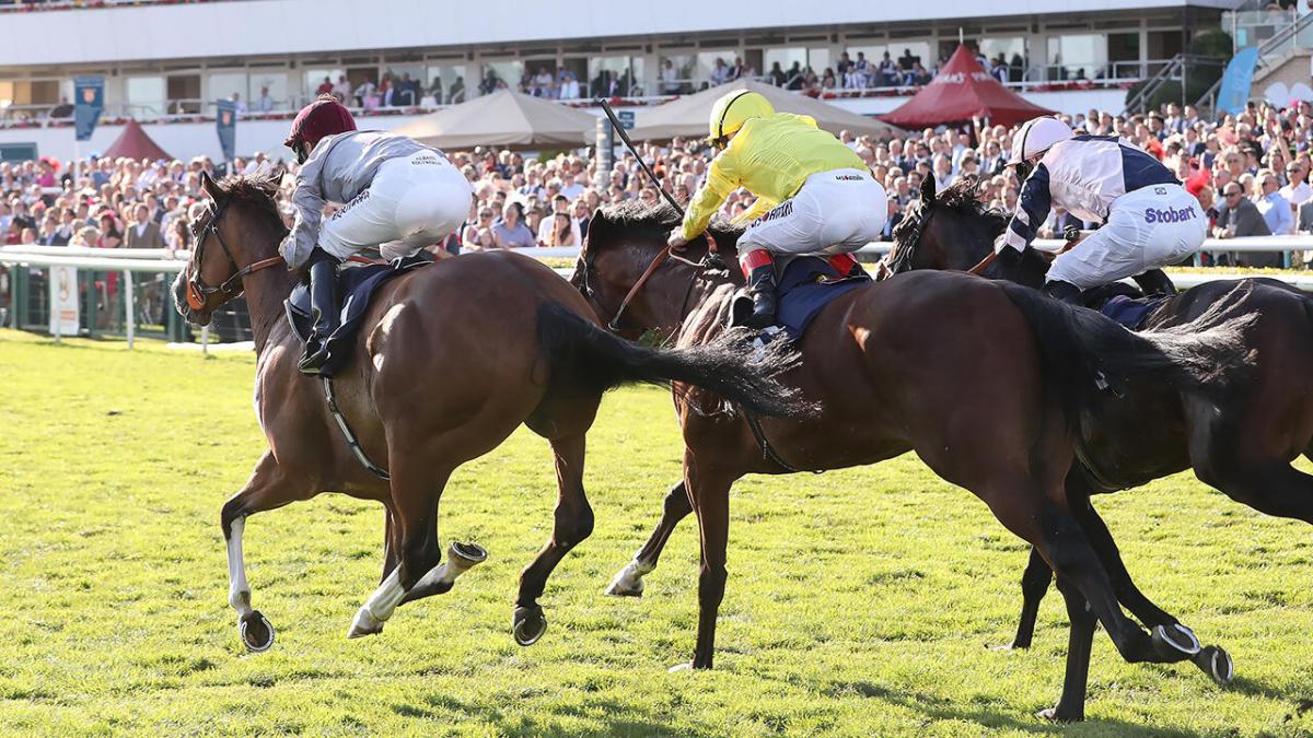 Horse racing at Doncaster